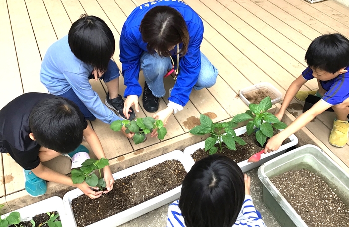 野菜苗植え付け１.jpg